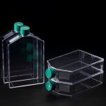 SPL Cell culture flask Filter type 세포배양 셀컬처 플라스크 70025 : 랩스토아