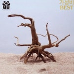 자연 나무 줄기 유목 수족관 물고기 탱크 파충류 실린더 뿌리 식물 액세서리 : 계피푸딩