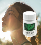 비움과채움 잇클린 600mg x 45정 (1박스) : 패션뷰티몰