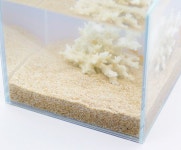 산호사 바닥재 어항 꾸미기 모래 산호 조각 조경돌 뼈산호 3.5kg : 으뜸 유통