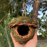 손으로 짠 솔잎 둥지 1개 풀로 눈썹 새 밀짚 창의적인 : 로디원컴퍼니