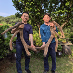 이상사슴농장 국내산 녹용 엑기스 녹용진액 1상자 60봉 (110ml) : 이상사슴농장