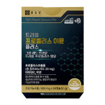 항산화 플라보노이드 환절기 면역증진 건강 트리플 프로폴리스 : 샤이닝랜드