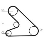 푸조 J5 1 8 2 5L V8 V6와 호환되는 콘티텍 타이밍 벨트 풀리 키트 : 에이틴월드갤러리