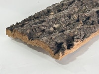 굴피나무 껍질 1EA(10x40cm) 나무껍데기 나무소품 인테리어소품 : NK 플랜트