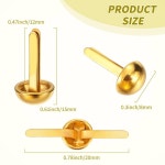 Hotop 500개 종이 황동 패스너 원형 공예 학교 DIY 용품(0.3 x 0.8 인치, 금색) Golden 1 0.3 x 0.6 Inch : 쪼까리몰