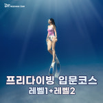 프리다이빙 강습 레벨2 (1+2) 입문 초급 서울 잠실 수원 수도권 AIDA PADI : 다비이즈프리