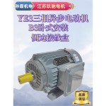 3상 삼상 비동기 모터 진동모터 JW7124 6 24V 알루미늄 YS6322 YE3 801 2 0 75KW : 글로벌휙스몰