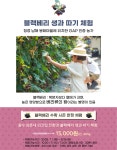 [남해로온] 남해 외갓집 - 광수 삼촌네 친환경 블랙베리 체험 : 남해로온