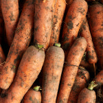 [형원농장] 경남 밀양 하우스 당근 특사이즈 10kg : 어셈쇼핑