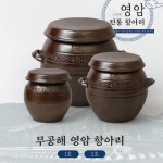 된장 고추장 항아리 소금 단지 국산 영암 수제 전통 옹기 장독 3L 5L : 정감상회