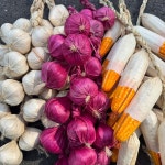 댄스플로어 인공 과일 야채 가짜 칠리 마늘 호박 홈 부엌 농장 파티 벽 거품 고추 문자열 : 두컴퍼 니