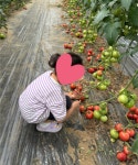 [냠냠키즈X은진농장] 서울강남 냠냠텃밭 농장 체험(~6/30 한정 판매) : 냠냠키즈 상점