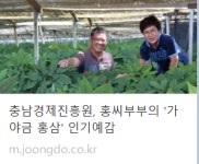 1포로 즐기는 건강한 기운 6년근 발효 홍삼정 스틱 60 60포, 1개 : 가야금 홍삼