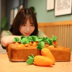 당근밭 당근 노즈워크 놀이터 강아지당근 놀이터인형 노즈워킹 간식 강아지당근뽑기 당근뽑기 무를 뽑다 35 35cm전후 : 구매직