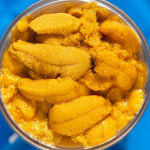 성게알 해수 우니 제철 동해안 청정 고성 국산 해녀채취 500g, 1개 : 바다조아