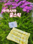 아카시아꿀(꿀스틱) : 진짜벌꿀