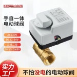 스테인레스 스틸 전기 Wat 탄소 St 휴대용 실외 머신 Pc 1 AC 220V DN15 : 유어볼트