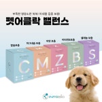 펫어클락 미네랄 밸런스 영양제 : 인투바이오 펫어클락