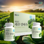 셀스 참좋은 국내산 제주 친환경 무농약 양배추 고함량 서귀포 양배추정 대용량 180정 : 웰빙헬쓰