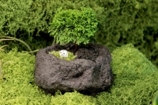 청짜보 화산석 손 안에 들어오는 미니분재 편백나무 데스크테리어 : 플랜팁