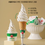 서울우유 아이스크림컵 150cc(1000ea) : 생활가치연구소