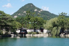 2025년 사주운세 10분 - 질문2개 (전화사주 인터넷 사주) 사주운세 운세 궁합 사주팔자 운세 사주궁합 사주잘보는곳 엑스퍼트사주 사주보기 사주... 
