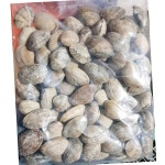 피바지락 600g 26개 수산물 : 유정상회