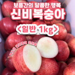 푸릇fruit13;5fresh | 25년도 첫 수확 신비복숭아 13Brix, 1kg, 1개 : 푸릇푸릇영