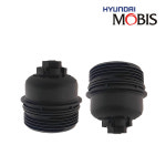 그랜드카니발 2.2디젤 오일필터+에어크리너 263202F100 4D000 현대모비스 : 카부품