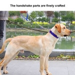 1Pcs 120cm 금속 마모 방지  중형 개 체인 리드 철 애완견 물린 용품 : 프릭스컴퍼니