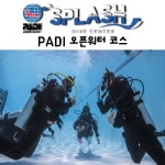 [제주도 스쿠버 다이빙] 제주도스킨스쿠버 [PADI 오픈워터 코스] : 제주도다이빙
