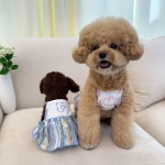 강아지 여름 나시 원피스 곰돌이 체크원피스 귀여운 강아지옷 공주옷 XS : 견데렐라