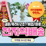 플라워너스 | 축하화환 근조화환 전국 꽃배달 개업 화분 동양난 서양난 : 플라워너스