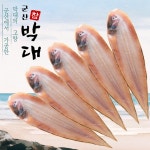 군산 반건조 박대 5마리 고급형 대박대 왕특대 : 야무진수산