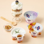 [본사직영] 파예 그리스 무지방 그릭요거트 150g 허니 외 3개+3개 (총 6개) : 엘에프푸드-메종드구르메