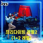 레벨 2, 프리다이빙 서울 경기 체험 강습 입문, 1+2레벨 : MS다이빙풀