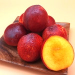 [신선드림]새벽경매 당일배송 천도복숭아 신선복숭아 신비복숭아 : 신선드림-드림네트웍스