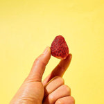 슬로우팜 100% 과일 동결건조간식 딸기 : 도그 익스프레스 부천점