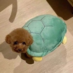큰개옷 고양이 거북 밀크티 의상 허스키 변신 거북이옷 대형견 정도 쿠션 새로운 거북이 권장] [2~4근 등껍질 옷 4 강아지 : 나나샵0