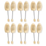 여성용 시더 엘리먼트 신발 나무 견고한 소나무 들것 셰이퍼 6팩 M/S Woman Size 7-5.5 : 하늘공간 상회