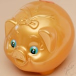 황금돼지 저금통 대2호 미니돼지저금통 : jitae265 Shop