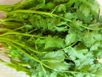 고수 1단 (약 300g) : 채소플러스