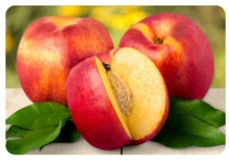 아삭하고 달콤한 천도 신선 복숭아 1.5kg : 프루이