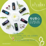[원데이 클래스]향심상담-향기로 나의 감정을 만나는 시간 : 루나 소울타로