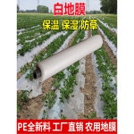 농업용비닐/투명 멀칭비닐 무공 피복재 부자재 텃밭용 감자밭 대용량 PE필름 200m 흰색5근 폭60cm 680m길이 : 스나이퍼쇼핑