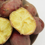 국내산 쫀득 쫀득 포슬 포슬한 카스테라 수미 두백 홍감자 히카마 소 중 대 특 특대 1.5kg, 3kg, 5kg, 10kg : 주은이의식탁