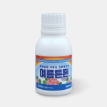여름튼튼 250ml 제라늄 저항성 강화 식물 영양제 여름아부탁해 : 멍멍이밥풀꽃