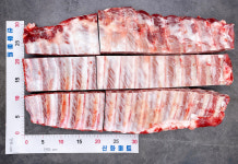 [푸짐상품] 3kg 돼지 통갈비 국내산 바쿠테 갈비탕 찜용 : 신화미트