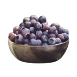 [정선직송](L사이즈)25년 햇 유기농 블루베리 1kg (500g x 2) : 제이하스몰